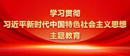 操大黑逼免费视频学习贯彻习近平新时代中国特色社会主义思想主题教育_fororder_ad-371X160(2)